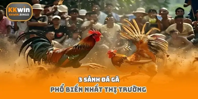3 sảnh đá gà phổ biến nhất thị trường 