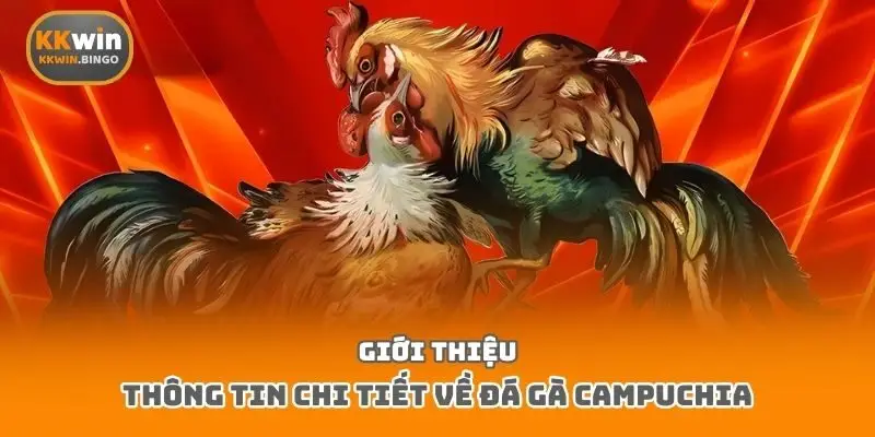 Giới thiệu thông tin chi tiết về đá gà Campuchia
