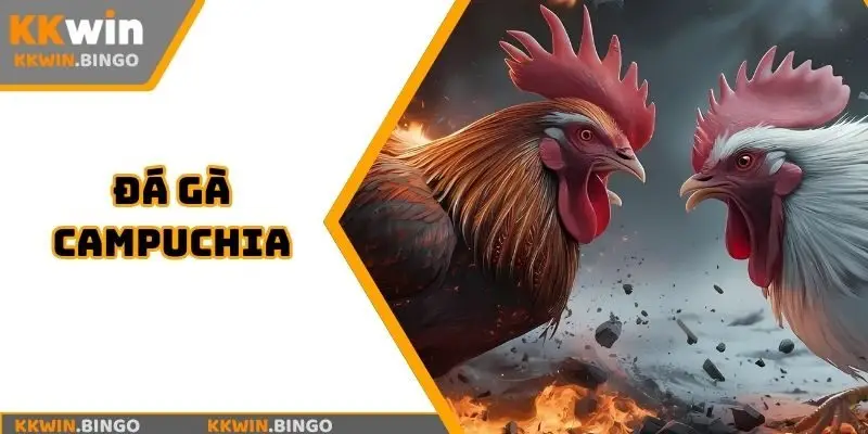 đá gà campuchia