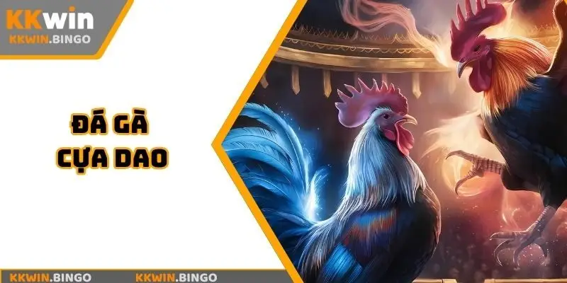 đá gà cựa dao