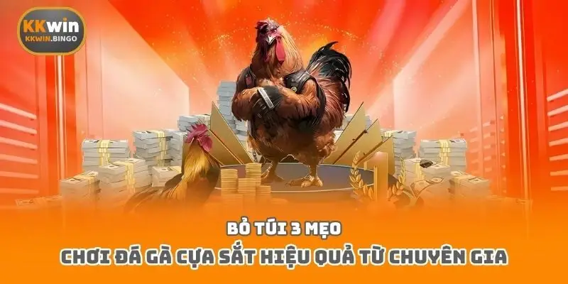 Bỏ túi 3 mẹo chơi đá gà cựa sắt hiệu quả từ chuyên gia
