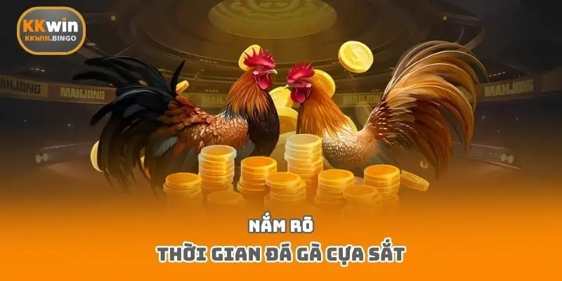 Nắm rõ thời gian đá gà cựa sắt