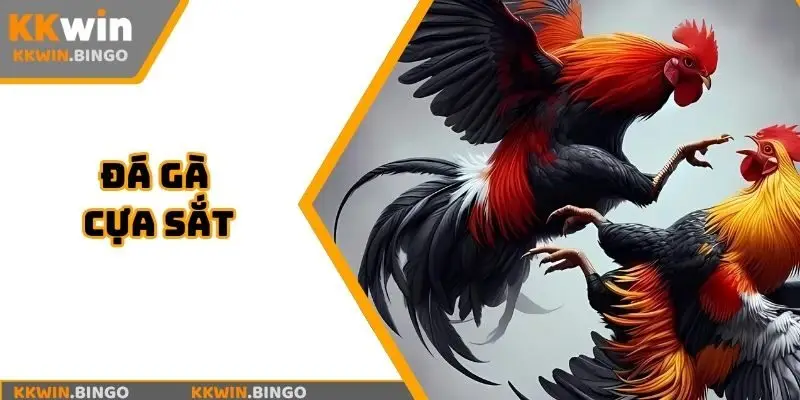 đá gà cựa sắt