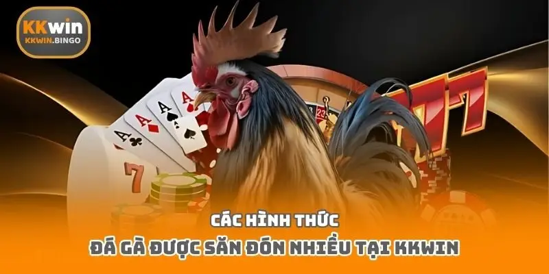 Các hình thức đá gà được săn đón nhiều tại Kkwin