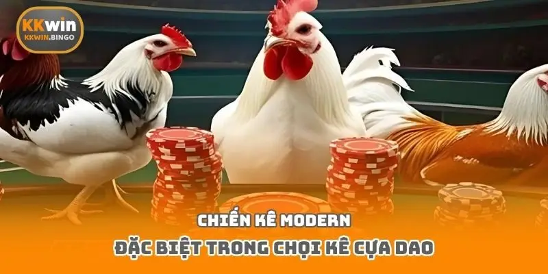 Chiến kê modern đặc biệt trong chọi kê cựa dao
