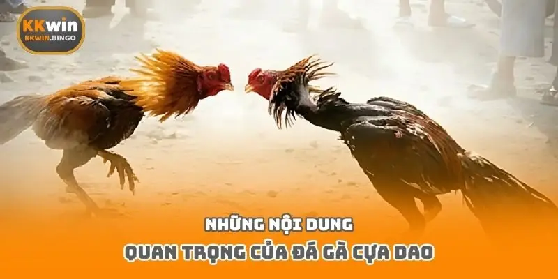 Những nội dung quan trọng của đá gà cựa dao